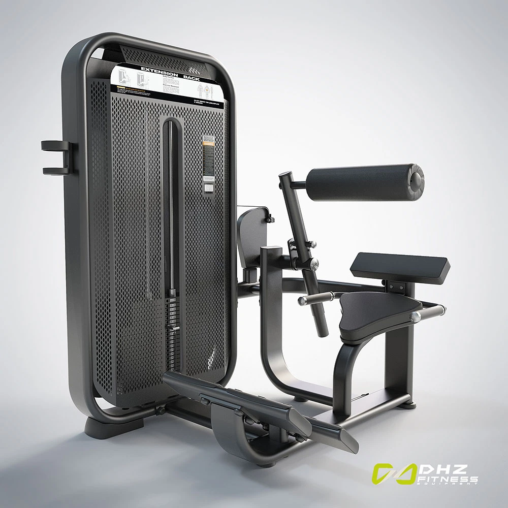 DHZ Fitness | Strength Equipment, FUSION PRO Strength, E7031, Back Extension